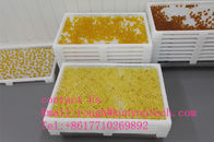 White Food Grade Plastic Drying Trays For Softgel Capsules And Paintball