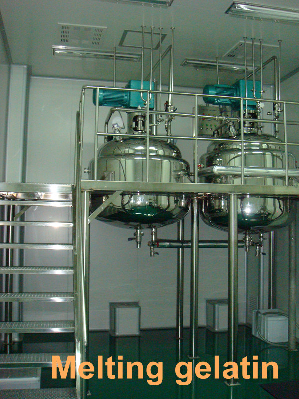 Vegetable Gelatin Softgel Encapsulation Machine On Hydroxypropyl Starch Material