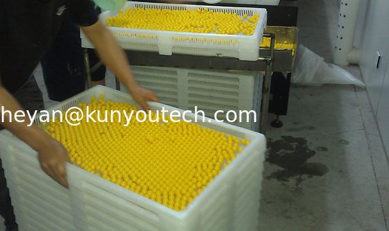 Quality  Propene Polymer Large Plastic Trays Food Grade 780 * 495 * 55mm With 4mm Hole factory