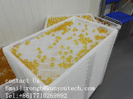 Large Size Softgel  Plastic Drying Trays With Trolley Anti High temprature
