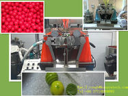 Canabis Oil Softgel Capsule Machine With Porous Stainless Steel Oil Roller