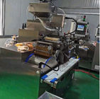 Servo motor automatic Large Scale Softgel Capsule production Machine Various Shape capsule  Oil Filling