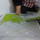 Food Grade Metal / Plastic Drying Trays For Drying Capsule Candy