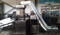 Stainless Steel Capsule Inspection Machine