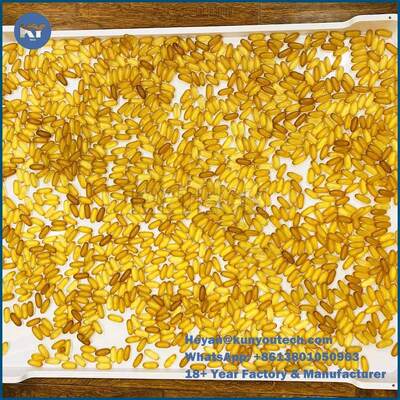 Quality  Large Size 78*50*6cm Plastic Drying Trays Softgel Anti High Temprature factory