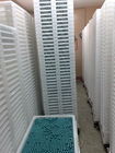 Softgel Plastic Drying Trays