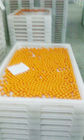 Anti High Temprature Plastic Drying Trays Pe Material For Drying Freezing Baking