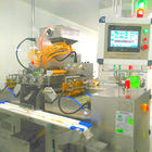 15kg/H 3.5RPM Pharmaceutical Machinery For Liquid Capsule Filling