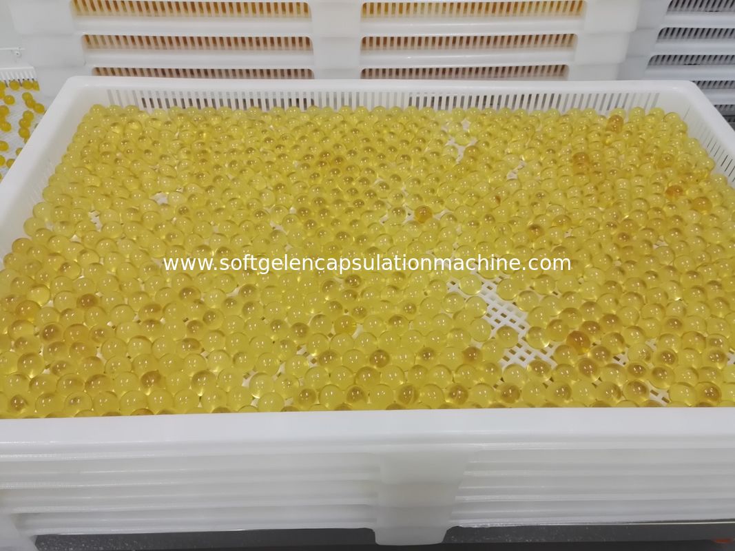 Food Grade Plastic Drying Trays Pharmaceutical Drying For Softgel Capsules and paintball