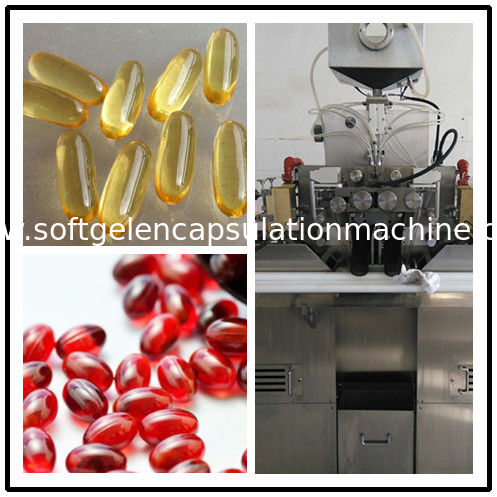 S403 Soft Gelatin Encapsulation Machine With Gelatin Melting System For Krill Oil Production