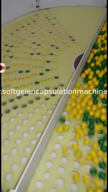 Softgel Capsule Inspection Counting And Packing Machine 1 Year Warranty
