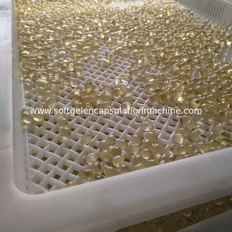 Softgel Capsules Plastic Drying Trays High Temperature Bearing Customized Color