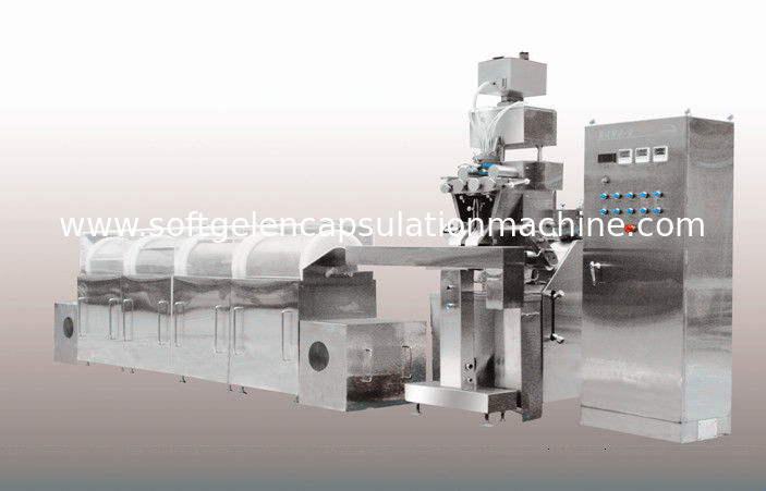 Oval / Oblong Shape Automatic Soft Gelatin Encapsulation Machine With Counting