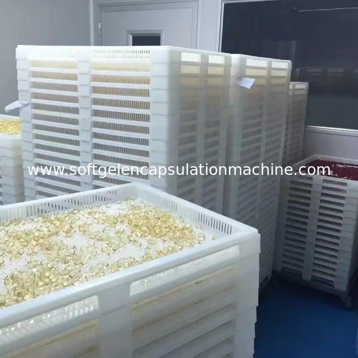 Various Color Plastic Drying Trays And Trolly Food Grade PPE Material 75 * 55 * 5cm
