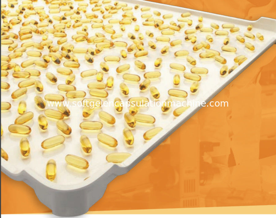 Flat Bottom Food Grade Ppe CE 5cm Plastic Drying Trays