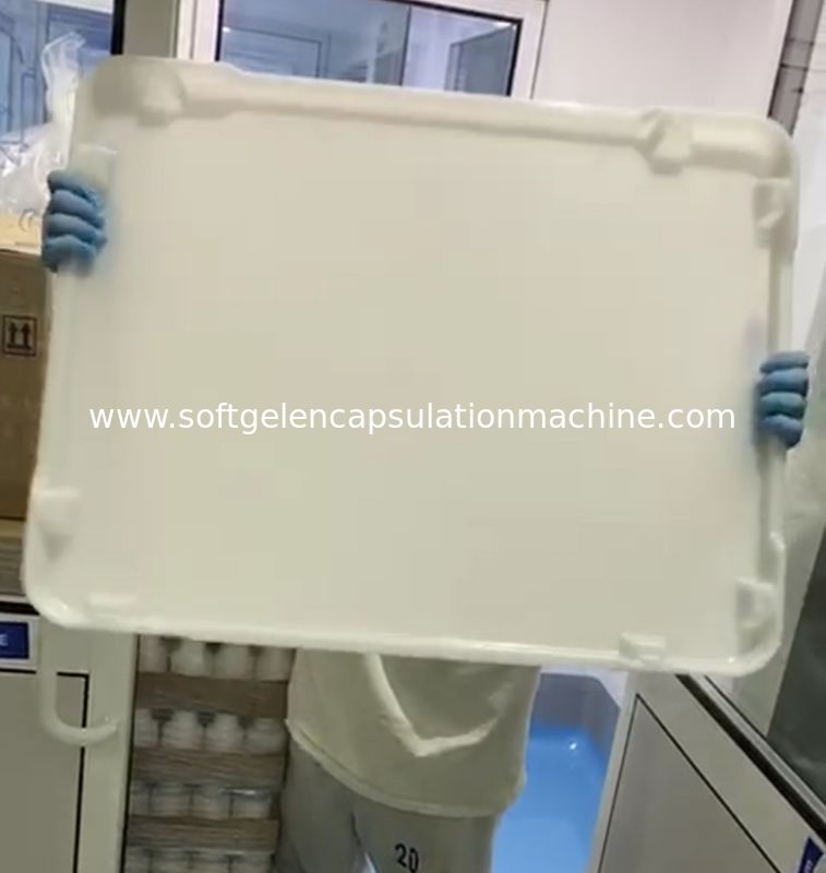 Flat Bottom Ppe Plastic Drying Trays 75 * 55 * 5cm For Capsule Candy