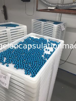 Low Noise PLC Control Paintball Encapsulation Machine with Touch Screen