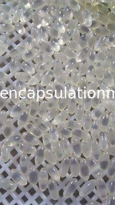 Food Pharmaceutical Grade Gelatin