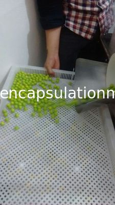 Auto Food / Pharmaceutical Paintball Encapsulation filling Machine with 6&quot; Die Roll mold