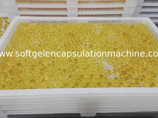 Food Grade Plastic Drying Trays Pharmaceutical Drying For Softgel Capsules and paintball