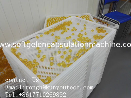 ISO9001 PPE 75 * 55 * 5cm Plastic Drying Trays