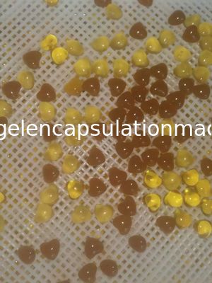 Micro Scale Automatic Vgel Encapsulation Machine For Honey / Cbd Oil Capsule
