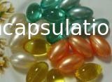 Softgel Hardness Testing Machine For Soft Capsule And Paintball Encapsulation Production