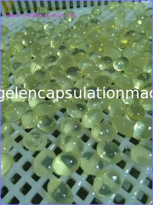 Food Grade Plastic Drying Trays With Holes Can Stack 800*500
