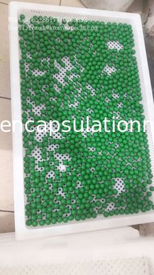 SS304 Paintball Counting And Packing Machine Paintball Encapsulation Machine