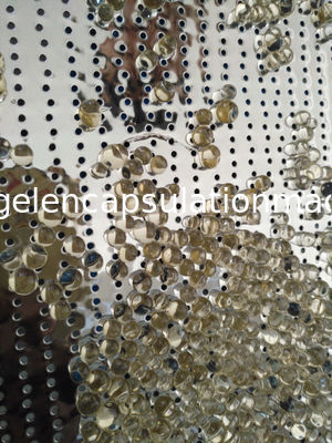 Food Grade SS Trays / Perforated punched metal mesh Stainless Steel Tray