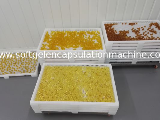 Food Grade Plastic Drying Trays Pharmaceutical Drying For Softgel Capsules and paintball
