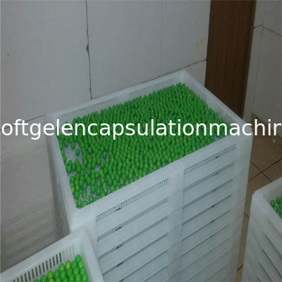 Food Grade Metal / Plastic Drying Trays For Drying Capsule Candy