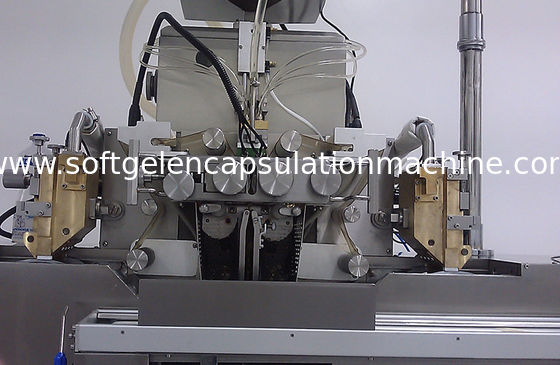 380V / 240V Paintball Manufacturing Machine With Small Load Difference / 304 SUS