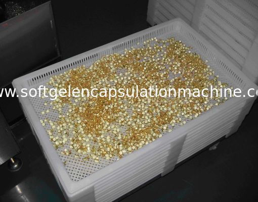 Plastic Drying Trays For Drying Paintball / Softgel
