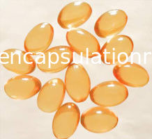 Food Supplement Soft Capsule Filling Machine With Big Air Flow / HMI Switch / Buttons