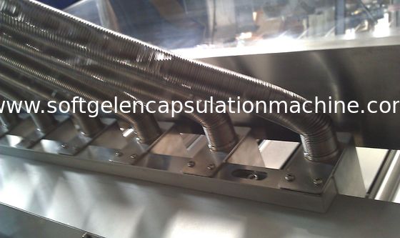 Capsule Sorting Machine With Precise Roller Distance & Conveyor Belt equipment
