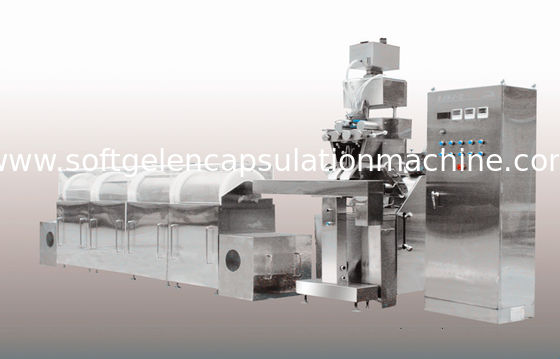 Oval / Oblong Shape Automatic Soft Gelatin Encapsulation Machine With Counting