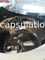 Stainless Steel 304 / 316 Soft Gel Encapsulation Machine For Cosmetic Capsule