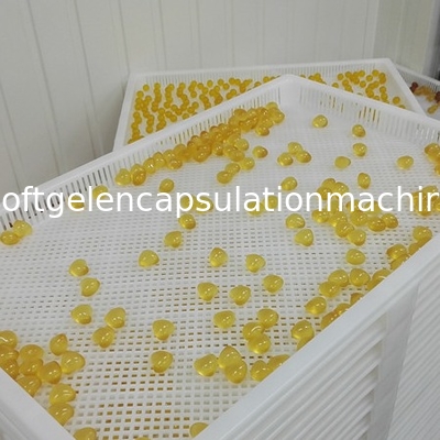 White Food Grade Plastic Drying Trays For Softgel Capsules And Paintball