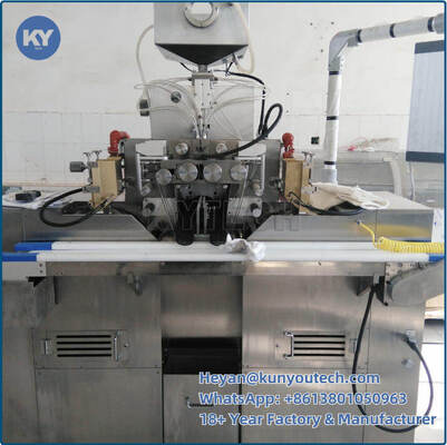 Electric Vitamin Softgel Encapsulation Machine / Softgel Manufacturing Equipment