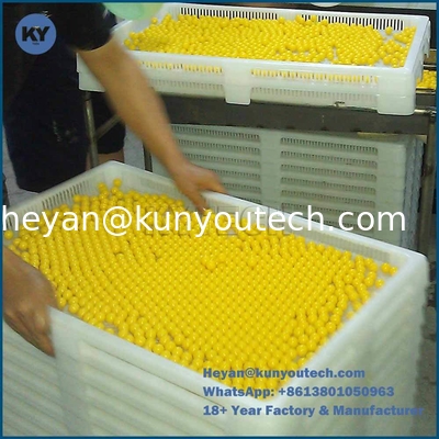 0.5KW Paintball Sorting Machine with 6 Sorting Rollers and Max 300000 Capacity for Pharmaceutical and Paintball Industries