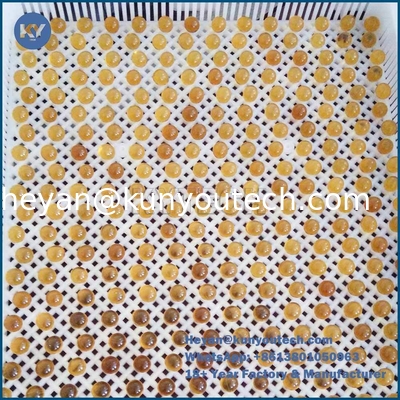 Capsule Plastic Drying Trays