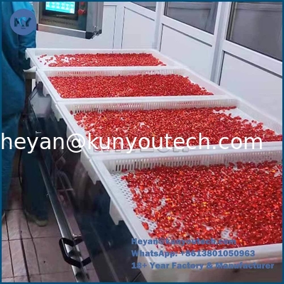 Capsule Plastic Drying Trays