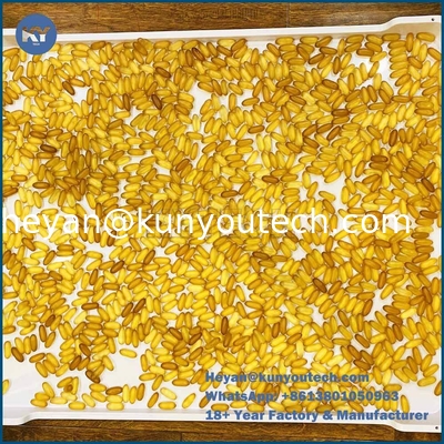 Food Grade PP Plastic Drying Tray 758x608x40mm