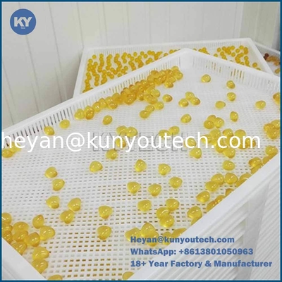 Food Grade Hygienic Plastic Drying Tray with Light Structure and Dimensions 762x495x55mm for Paintball and Softgel Drying