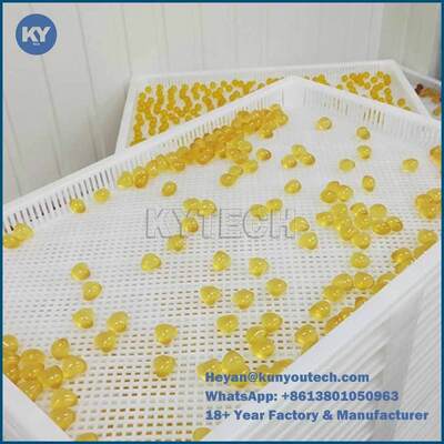 Large Size Softgel  Plastic Drying Trays With Trolley Anti High temprature