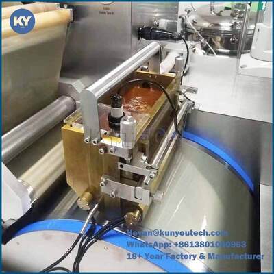 SS316 Capsule Filling Machine Parts Soft Gelatin Encapsulation Production