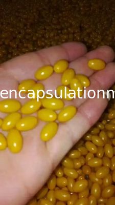 Aluminium / Brass Alloy Soft Capsule Mold Die Roll Tolling 80 * 100mm ISO9001
