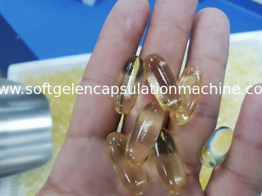 Canabis Oil Soft Gelatin Encapsulation Machine For Pharmaceutical Enterprises