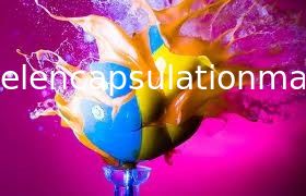 Paintball Encapsulation Machine S403 Vegetable Gelatin Capsule Production Line
